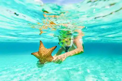 St. John: Caneel Bay, kajak, vandretur og snorkling – 3-timers tur