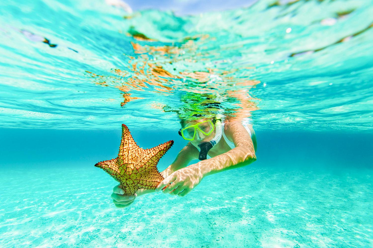 St. Thomas: Snorkeling - Snorkel St. John