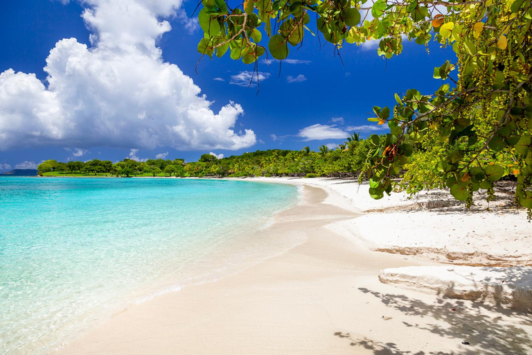 St. Thomas: Snorkeling - Snorkel St. John