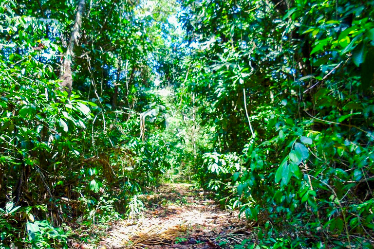 Panama : canal, forêt de Colón et Fort de San Lorenzo