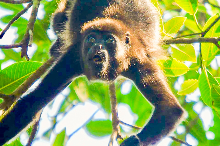 Panama: Kanał Panamski, las w Colón i fort San LorenzoKanału Panamski, las deszczowy w Colón i fort San Lorenzo