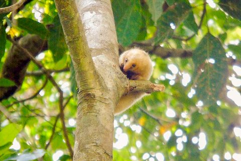 Panama: canale, foresta di Colón e forte San Lorenzo