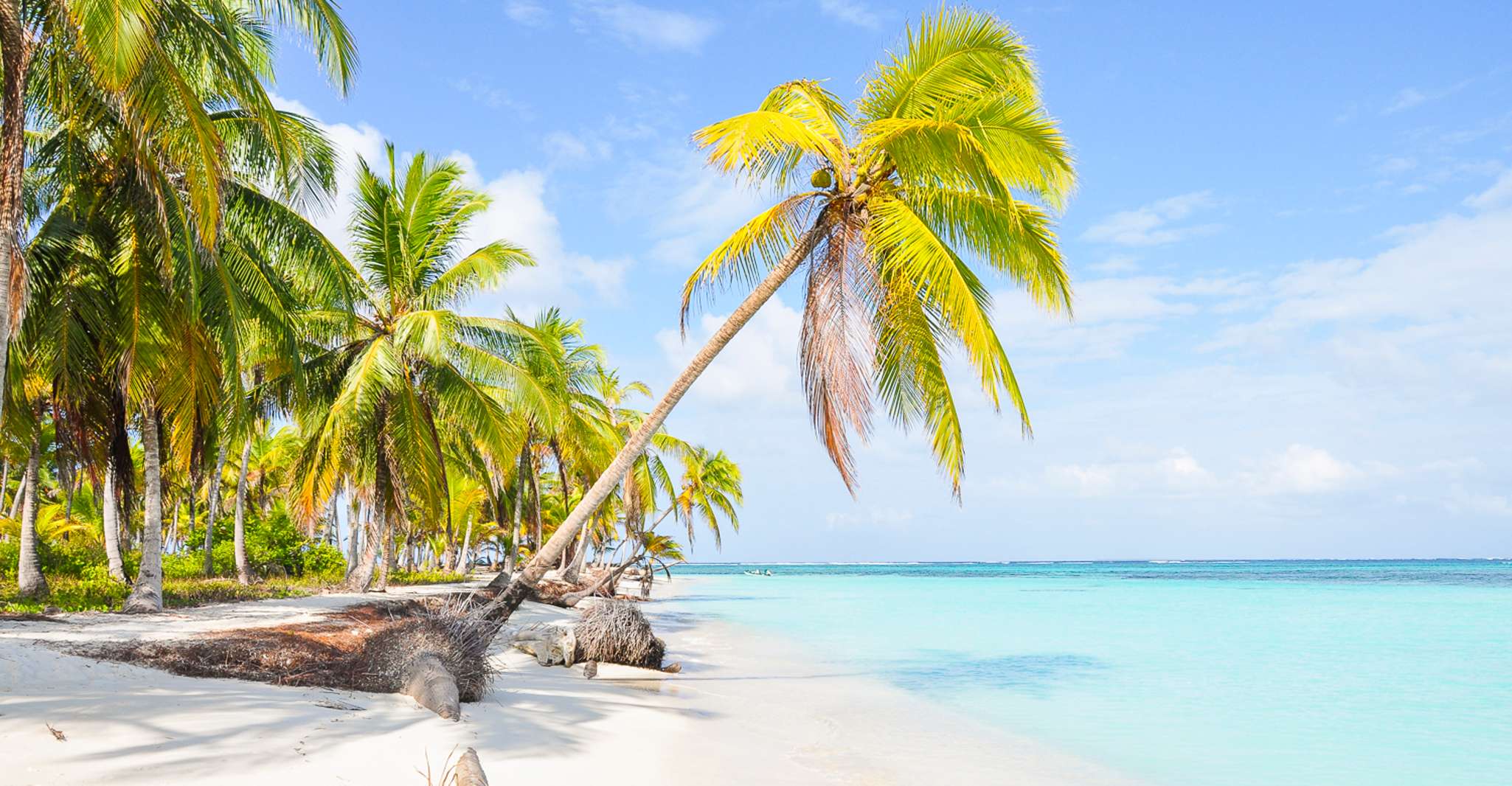 Da Panama City, 3 San Blas Islands Day Trip con Pranzo - Hizvo