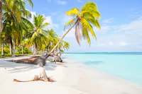 Desde la ciudad de Panamá, excursión de 3 días a las Islas San Blas con almuerzo - Hizvo