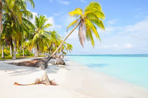 Panama City: Money Heist and San Blas Islands Day Trip