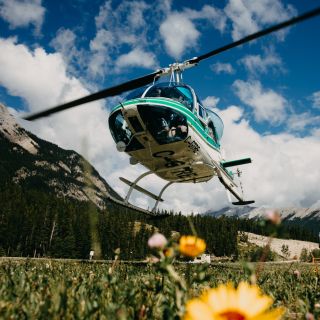 Canadian Rockies: Scenic Helicopter Tour