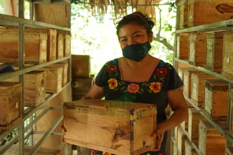 From Merida: Local Cooking Class & Shopping Tour in Tekit