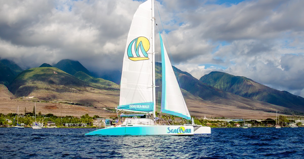 Ka'anapali Beach Express Snorkel Trip GetYourGuide