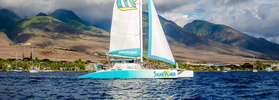 Ka'anapali Beach: Express Snorkel Trip