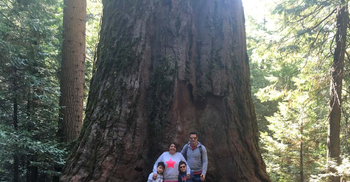 Oakhurst: Yosemite Giant Sequoia Private Jeep Tour