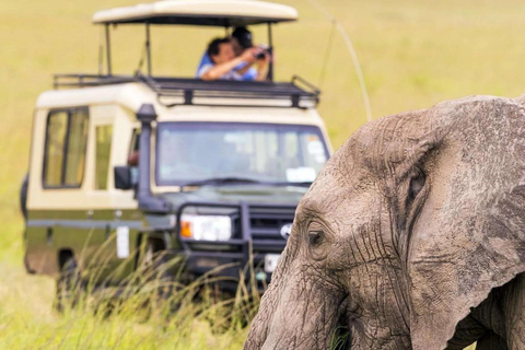 Uganda: 10-tägige Safari von Entebbe zu den Murchison Falls