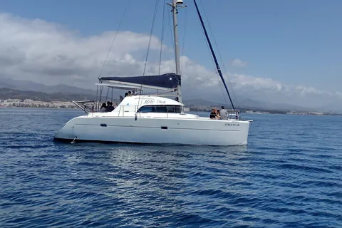 Avistamento de golfinhos em Estepona