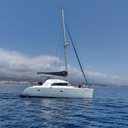 Delfinbeobachtung in Estepona