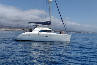 Dolphin watching in Estepona