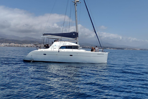 Dolphin watching in Estepona