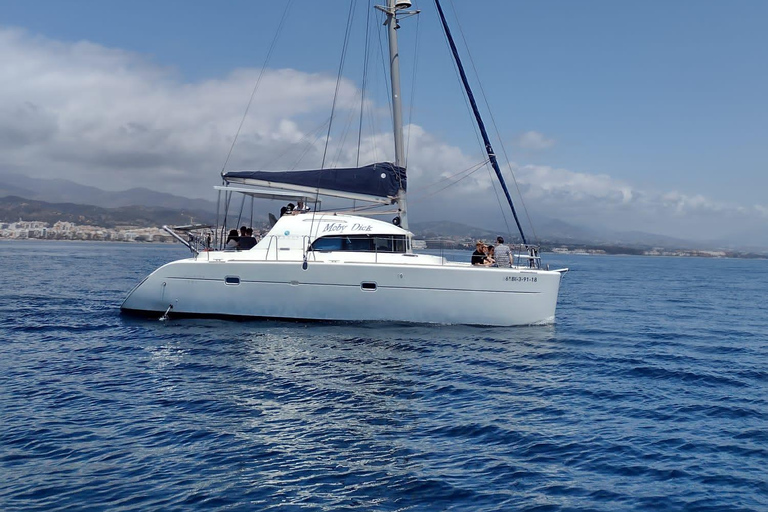 Delfinbeobachtung in EsteponaDelfine in Estepona beobachten