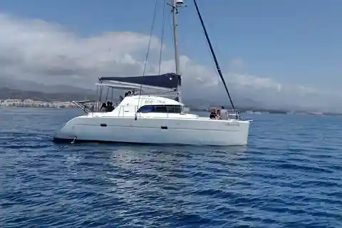 Dolfijnen spotten in Estepona