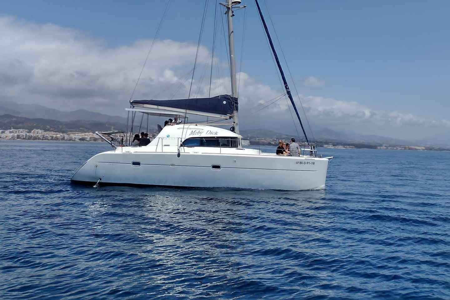 Dolphin watching in Estepona