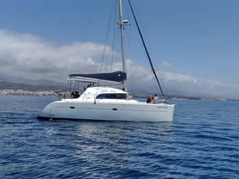 Delfinsafari i Estepona