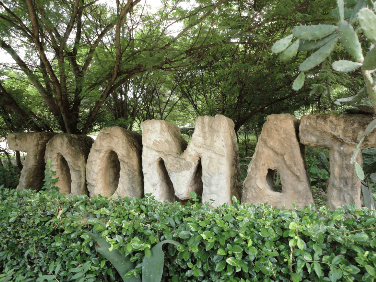 Tour ZOOMAT, Cristo de Chiapas, Miradores del Cañon del Sumidero auf Spanisch