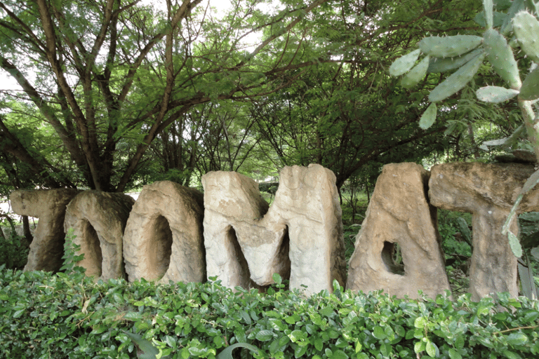 ZOOMAT Tour, Christ of Chiapas, Sumidero Canyon Viewpoints in Spanish