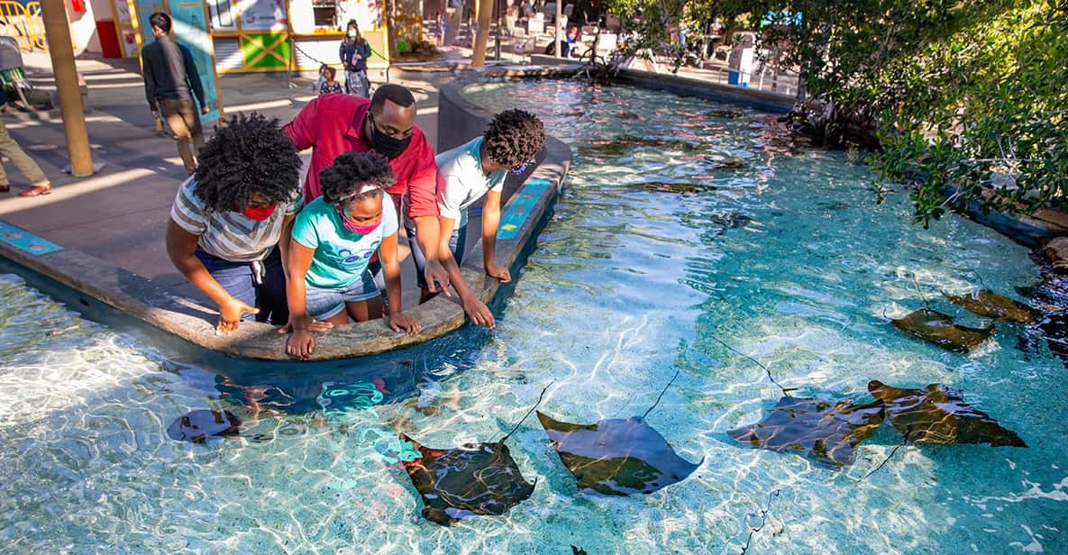 Aquarium of the Pacific: Skip-the-Ticket-Line Admission