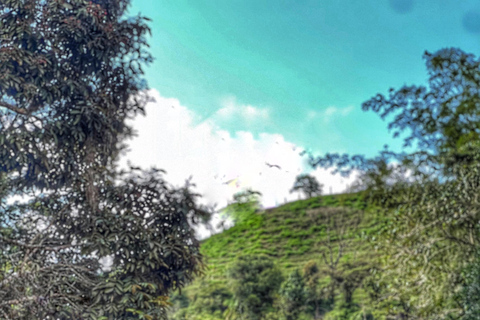 Medellín: Magical Tubing Río Arenal San Rafael