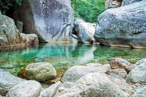 Corte: Family-Friendly Vecchio River Aquatic Hike