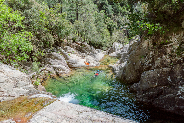 Corte: Family-Friendly Vecchio River Aquatic Hike