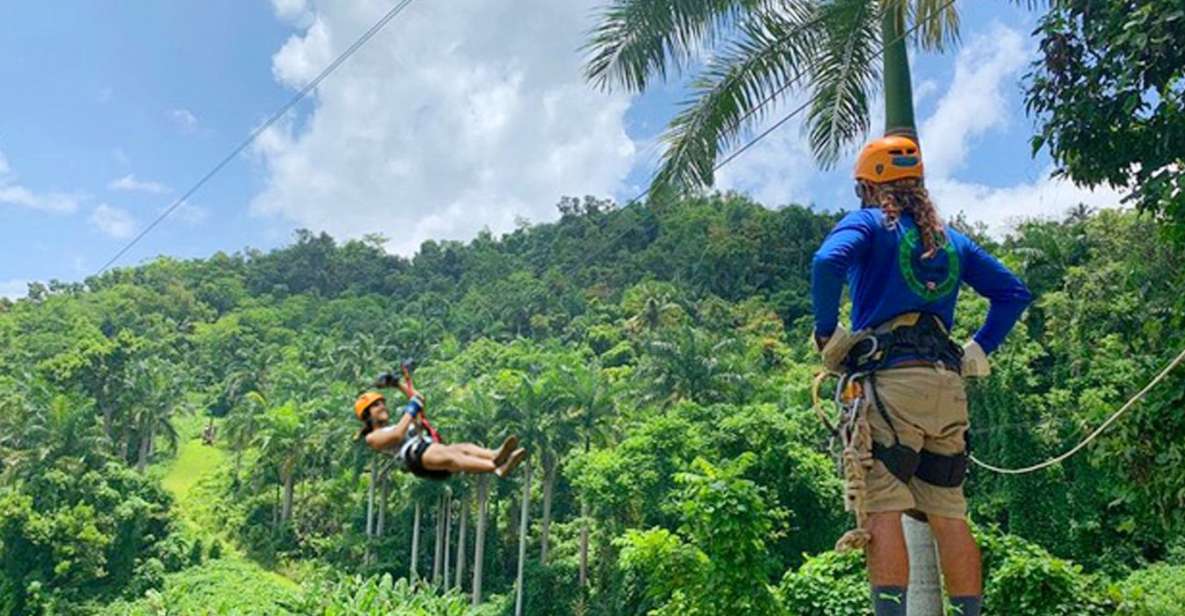  Puerto Rico: Yunque Rainforest Zip-Lining Adventure 