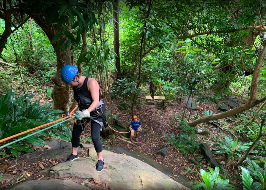 Porto Rico, Zipline Yunque à la forêt tropicale - Hizvo