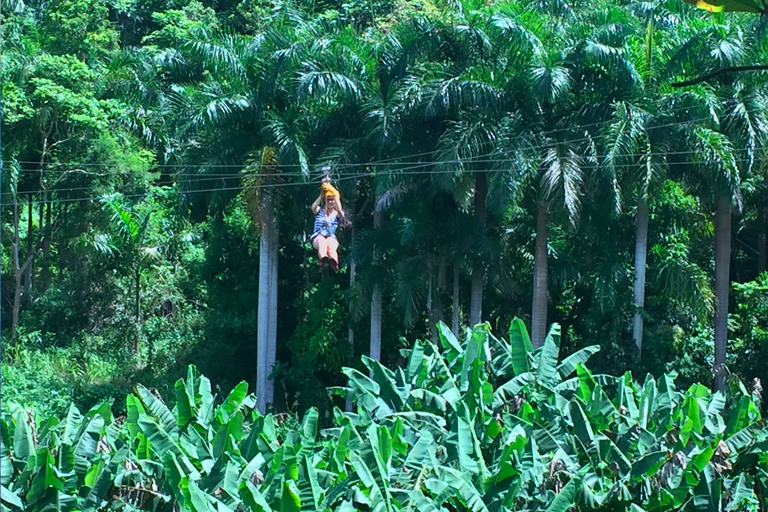Puerto Rico: Yunque Ziplining in het regenwoud