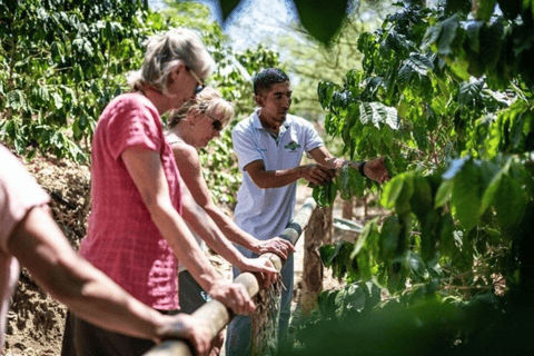 Punta Cana: Halfdaagse tour Culturele Safari Voor Kleine GroepPunta Cana: Halve dag tour Culturele Safari voor kleine groep