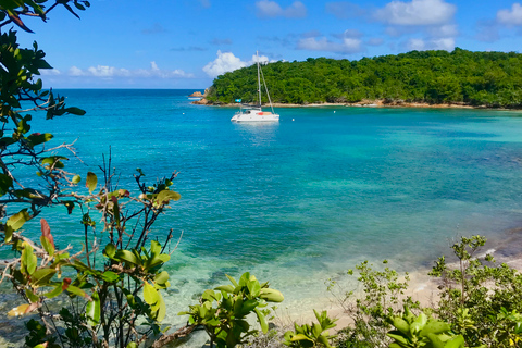 Fajardo: Catamaran Day Cruise to Palomino Island with Lunch