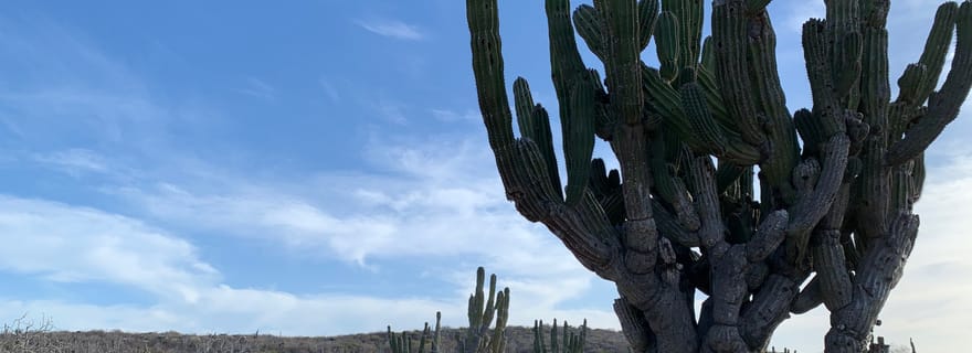 San José del Cabo : Circuit en VTT de 2 heures