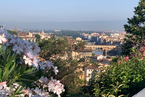 Florence: Fiesole Bike Tour