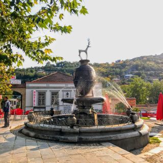Tbilisi: tour di Kakheti e Sighnaghi di un'intera giornata con degustazione di vini