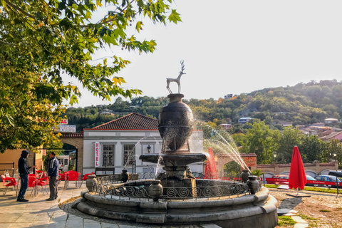 Tbilissi: visite d'une journée à Kakheti, Signagi, Telavi et Alaverdi