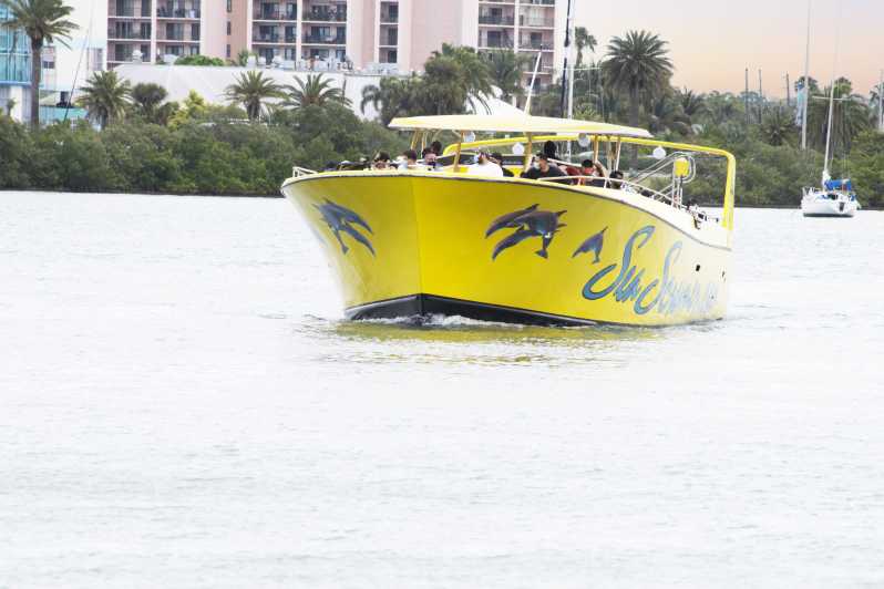 speedboat dolphin tour clearwater