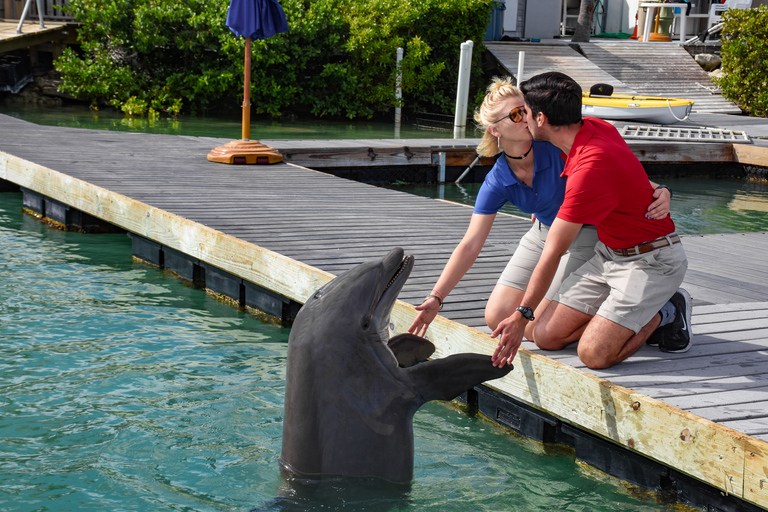 Cayos de Florida: experiencia con delfines en el muelle