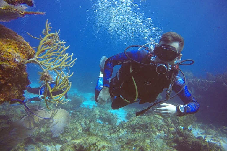 Cancun : certification de plongeur en eau libre SDI à 4 plongées