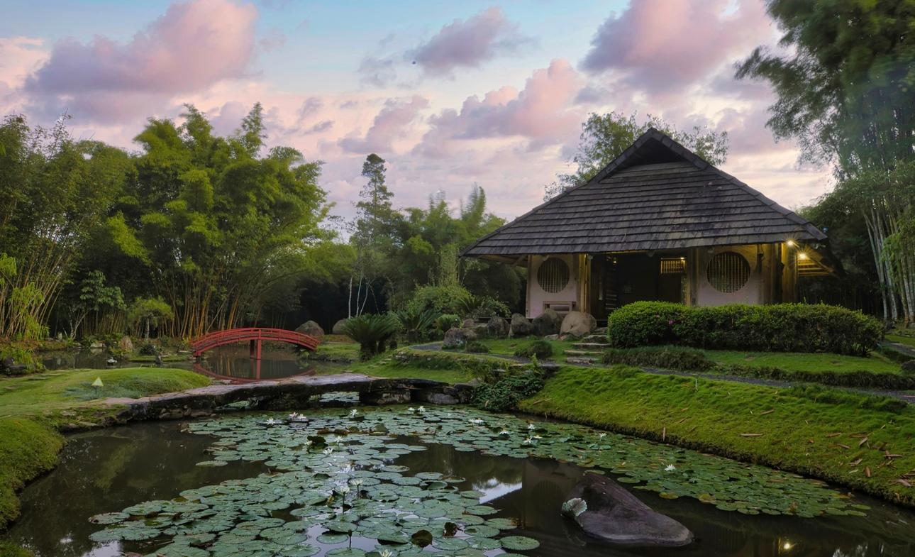 San José: Eintrittskarte für den Botanischen Garten Lankester
