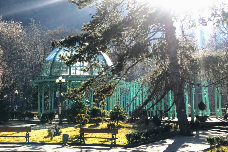 Desde Tbilisi: tour privado de Vardzia, Rabati y BorjomiDe Tbilisi