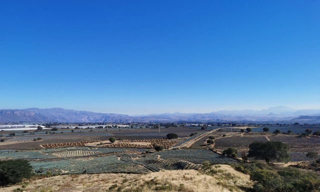 Visit From Guadalajara Tequila Tour & Tequila Tasting in Hacienda in Zapopan