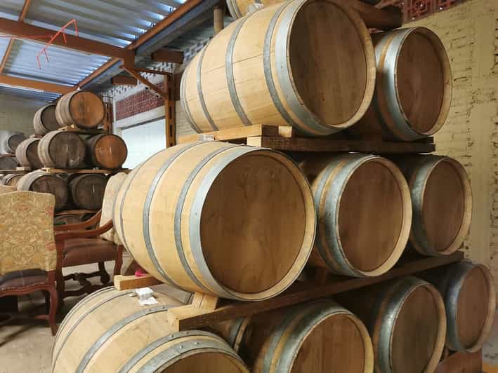 From Guadalajara Tequila Tour & Tequila Tasting in Hacienda GetYourGuide