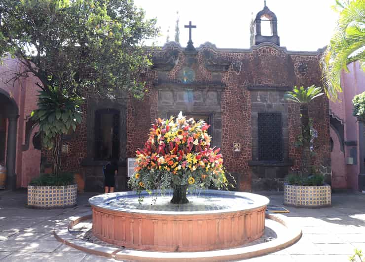 From Guadalajara Tequila Tour & Tequila Tasting in Hacienda GetYourGuide