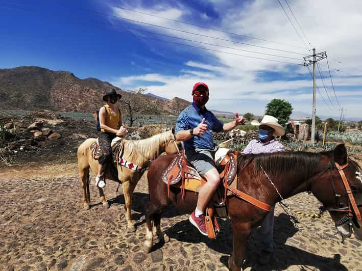 Guadalajara Horse Riding on the Tequila Route with Tastings GetYourGuide