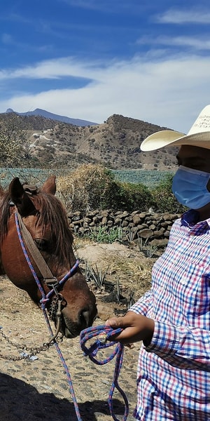 Guadalajara, Horse Riding on the Tequila Route with Tastings - Housity