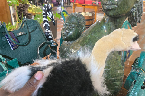 Cape Town: Ostrich Ranch Safari with Hotel Transfer