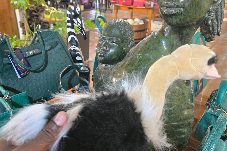 Cape Town: Ostrich Ranch Safari with Hotel Transfer